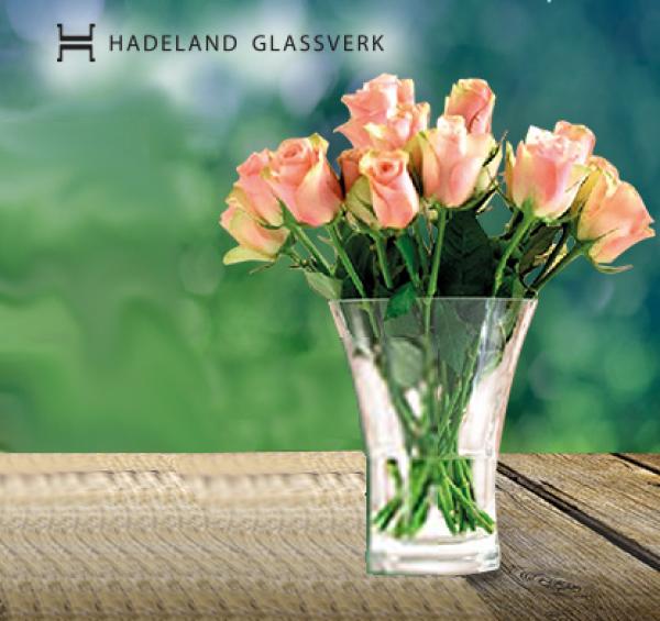 Bilderesultat for brilliant tulipanvase hadeland glassverk