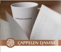 Cappelen Damm Desemberquiz
