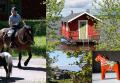 Les mer om 'Vinn en weekendferie for 2 i Dalarne i Sverige' Vinn en weekendferie for 2 i Dalarne i Sverige