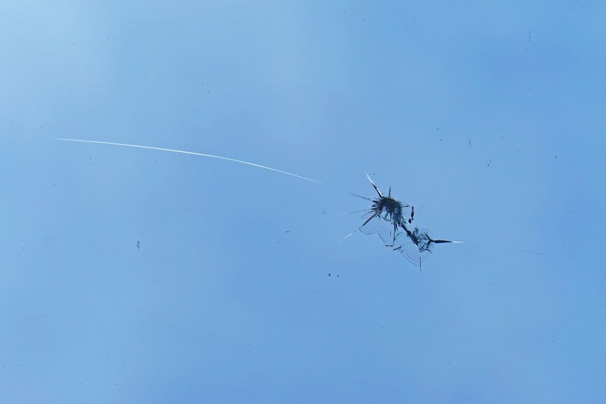 Steinsprut-sesong: - Mange hundre frontruter skades hver dag