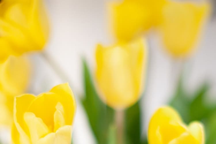 4 påskekonkurranser du ikke vil gå glipp av